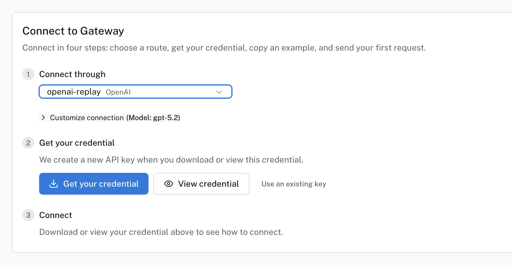 The Connect tab with a selected provider and the Get your credential actions